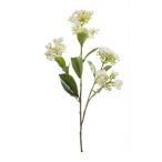 Hydrangea spray 75cm - Krém