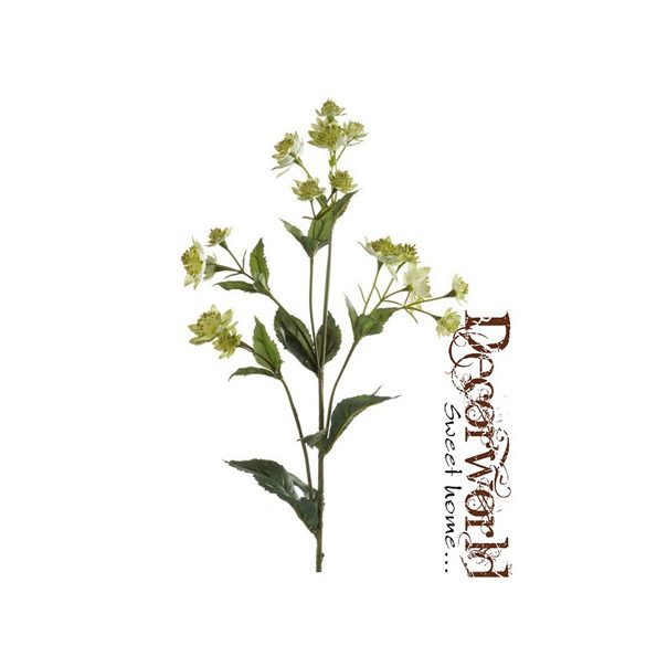 Astrantia ág zöld 78cm