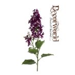 Orgona ág 80cm - Lila
