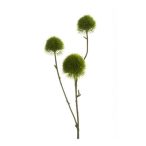 Dianthus ág 3db 58cm - Zöld