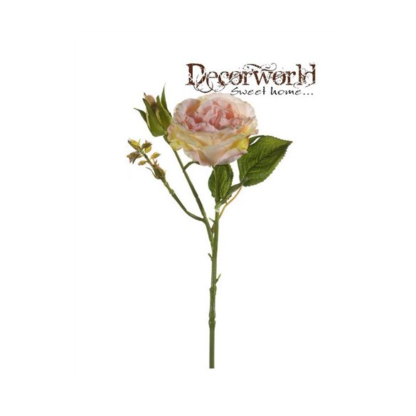 Rózsaág Anne x2 39cm barack