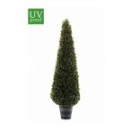 Borostyán piramis d40cm h135cm műanyag cserép 25cm