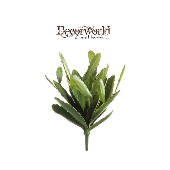 Karácsonyi kaktusz 13 levél 35cm