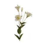 Eustoma szál 85cm fehér/zöld