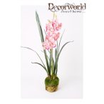 Cymbidium ág sötét rózsaszín 95cm mohás földgömbbel