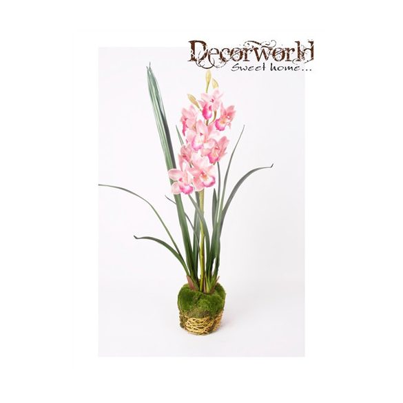 Cymbidium ág sötét rózsaszín 95cm mohás földgömbbel