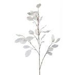 Holdviola ág havas 105cm