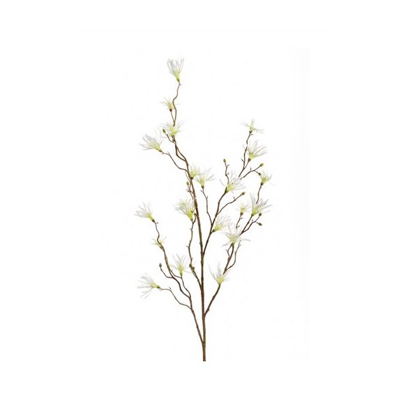 Hamamelis ág 120cm - Fehér/zöld