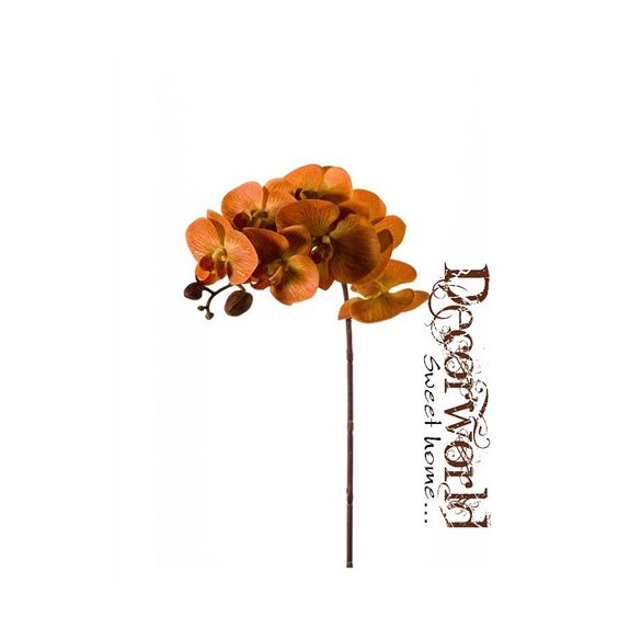 Phalaenopsis Orchidea ág sötét sárga 70cm