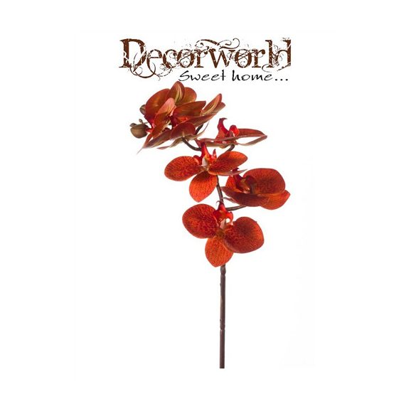 Phalaenopsis Orchidea ág narancssárga 70cm