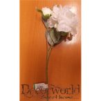 Peónia ág x2 havas 45cm - Fehér