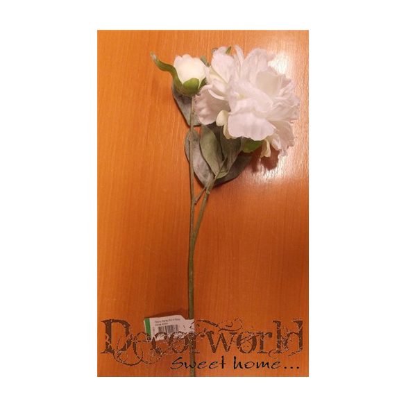 Peónia ág x2 havas 45cm - Fehér
