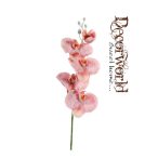 Phalaenopsis Orchidea ág mályva havas 65cm