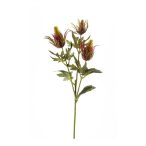 Iringó ág x3 65cm - Bordó