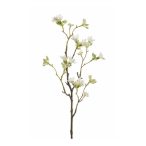 Seven sons virágos ág 50cm - Fehér