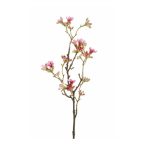 Seven sons virágos ág 50cm - Rózsaszín