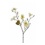 Magnolia szál mini 65cm krém