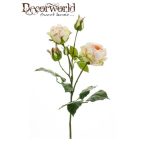 Rózsaág anja 53cm barack