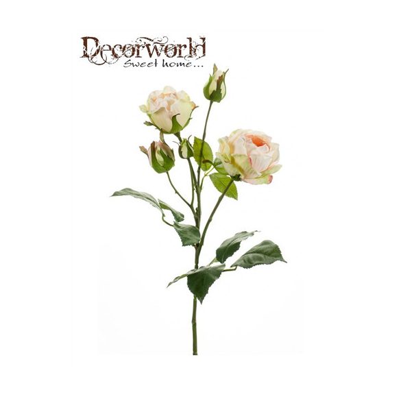 Rózsaág anja 53cm barack