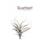 Szakállbromélia 24cm - Szürke