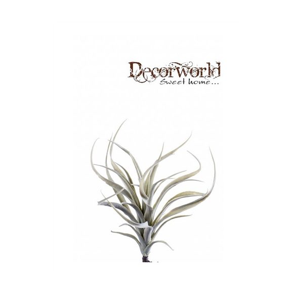 Szakállbromélia 24cm - Szürke