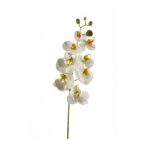 Phalaenopsis szál 68cm fehér