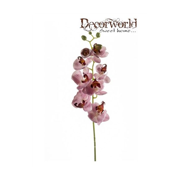 Phalaenopsis ág 68cm - Világos lila