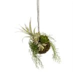   Akasztós mohagömb vegyes pozsgással 10cm - Világos zöld/sötét zöld