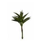 Aloe növény 24cm zöld
