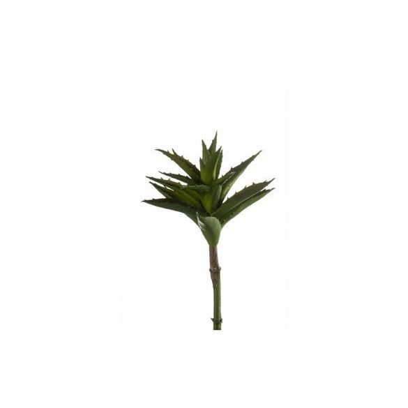 Aloe növény 24cm zöld