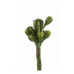 Kaktusz 18cm - Zöld