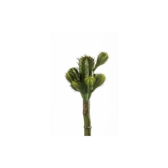 Kaktusz 18cm - Zöld