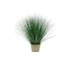 Wild grass 80cm (fém kaspóban)