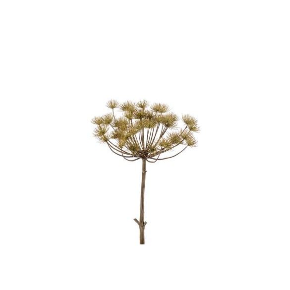 Heracleum stem 43cm zöld