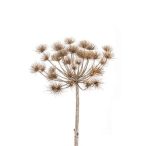 Heracleum stem 43cm szürke