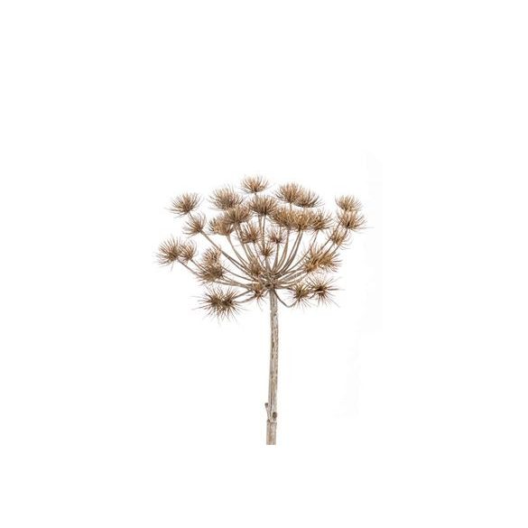 Heracleum stem 43cm szürke