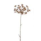 Heracleum stem 125cm szürke