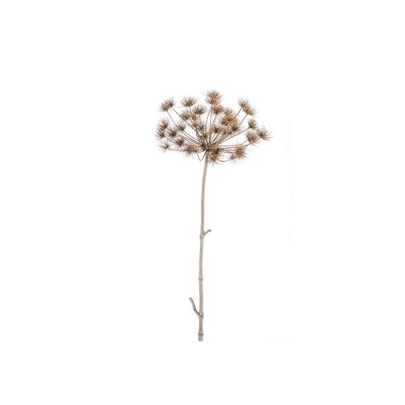 Heracleum stem 125cm szürke