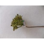 Kapor ág 62cm - Zöld