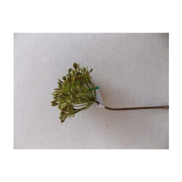 Kapor ág 62cm - Zöld