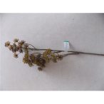 Arália ág 85cm - Zöld/barna