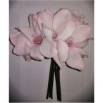 Magnolia köteg x7 22cm világos rózsaszín havas