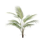 Palm chamaedorea  85cm / 9 leveles