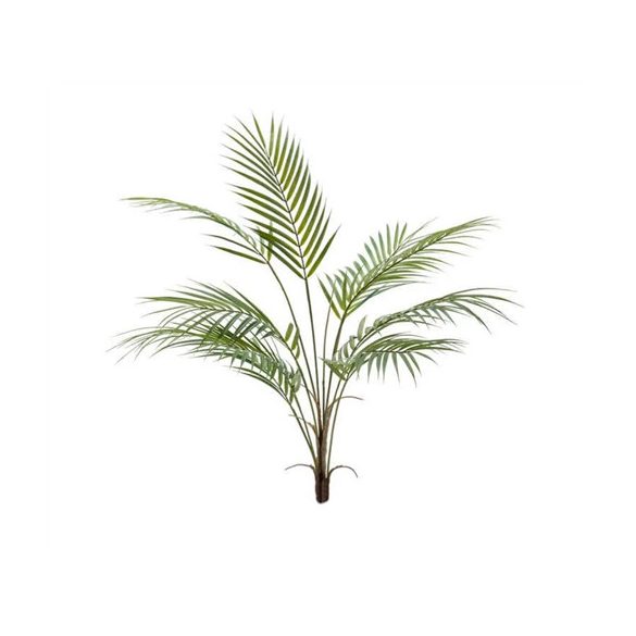 Palm chamaedorea  85cm / 9 leveles