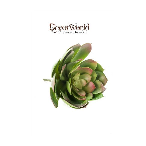 Kövirózsa 20cm zöld