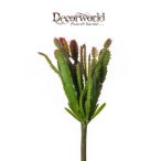 Kutyatej bokor 23cm - Zöld/piros