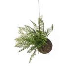 Fern forest string garden 10cm - Zöld