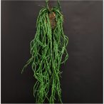 Akasztós mohagömb vesszőkaktusszal 10cm - zöld