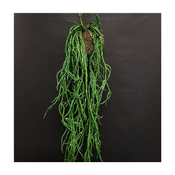 Akasztós mohagömb vesszőkaktusszal 10cm - zöld