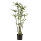 Cyperus 90cm - Zöld (műanyag cserépben)